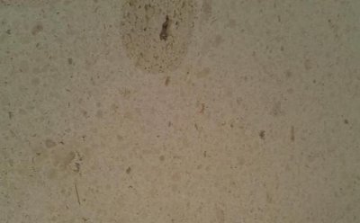 ��������ɰ��