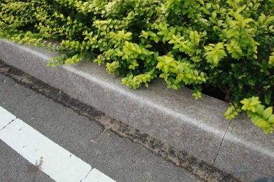 �����ҿFʯ�ä�������Τη۳Z����ӄI������